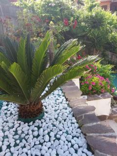 Lodge Rosa - Agropoli - 2