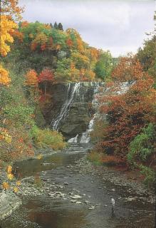 Meadow Court Inn - Ithaca - Ithaca - 6