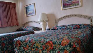Meadow Court Inn - Ithaca - Ithaca - 4