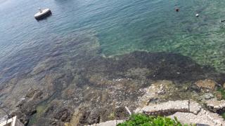 Anka's Beach - Komiža - 4
