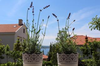 Mia 4 - Crikvenica - 6