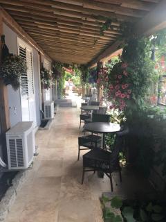 Hotel Clair de Lune - Zonza - 4