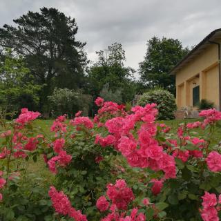 Agriturismo Santa Maria - Marta - 2