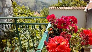 Holiday Home Ana - 4