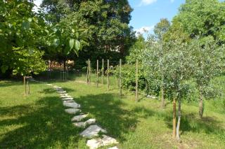 Casa Kaletheia - Volpago del Montello - 7