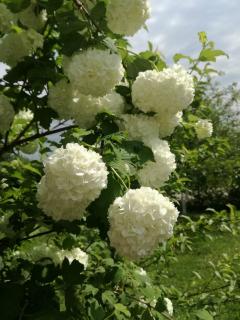 Apartment Stjepan - 1