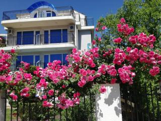 Albatros 2 Family Hotel - Kiten - 0