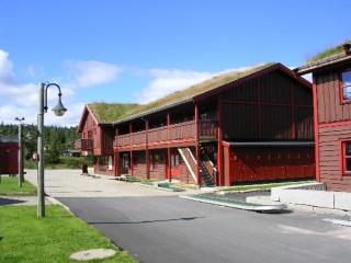 Trysil Høyfjellssenter, Fageråsen - Trysil - 9