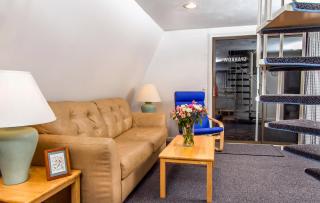 Self-Sufficient Cottages at Even'tide Resort - Wellfleet - 3