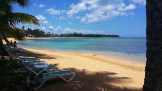 Aligio Apart-hotel & Spa - Las Terrenas - Las Terrenas - 1
