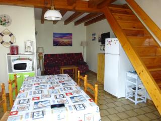 Les Lagagnons - Biscarrosse - 5