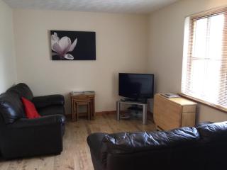 One-Bedroom Apartment - Wyvis Free Parking - 4