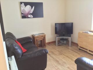 One-Bedroom Apartment - Wyvis Free Parking - 3