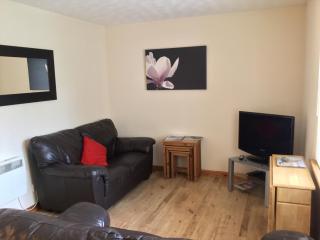One-Bedroom Apartment - Wyvis Free Parking - 6