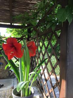Il Ghiro B&B - Riccò del Golfo di Spezia - 7
