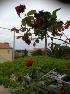 Apartment Neno - Terrace & Parking - Veli Lošinj - 1