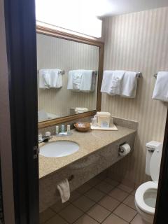 Quality Inn & Suites Detroit Metro Airport - Romulus - 1