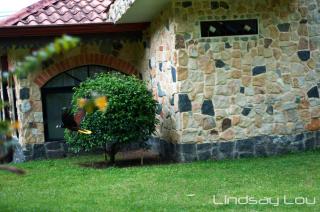 Gingerbread Restaurant & Hotel - Nuevo Arenal - 9