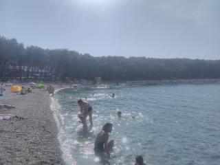 Apartman Adrian I David - Primošten - 5