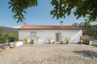 Casa do Porto Carreiro - Oliveira de Azeméis - 9