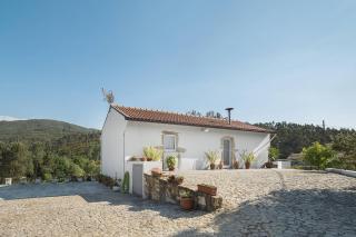 Casa do Porto Carreiro - Oliveira de Azeméis - 7