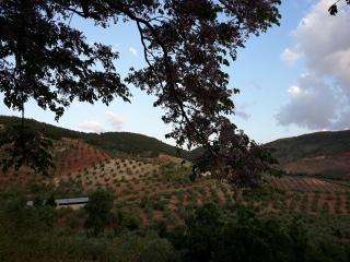 Casa de Aulabar - Aulabar - 1