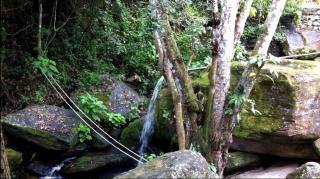 Sitio Alto da Montanha - você em paz com a natureza - Pacoti - 3