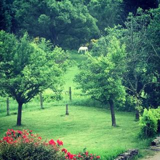 Gites de La Croix du Gres - 2