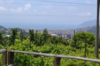 b&b Green Valley - Salerno - 7