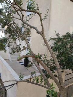 Sea View Apartment - Trogir - 4