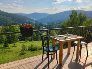 Hotel Horní Pramen - Špindlerův Mlýn - 4