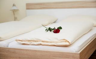 Hotel Landgasthof Wallburg - Eltmann - 4