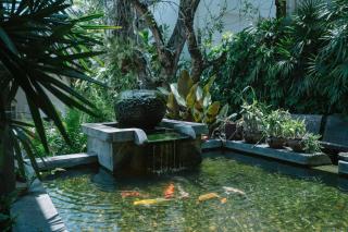 The Opium Chiang Mai - 2