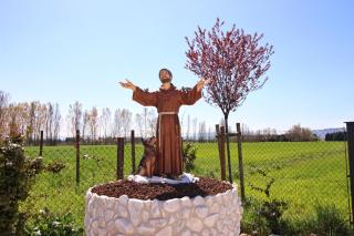 Il Podere di Francesco - 7