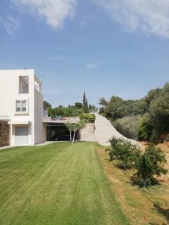 Dimitra - Rafina - 5