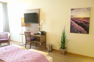 Boutique Hotel zur Post - Vohburg an der Donau - 3
