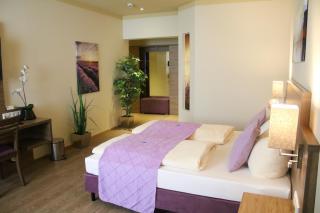 Boutique Hotel zur Post - Vohburg an der Donau - 5