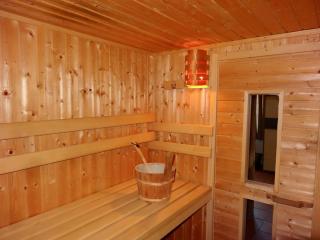 "Zur alten Schmiede", 70m2 Studio mit Kaminfeuer und Sauna - Fraubrunnen - 1