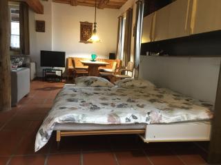 "Zur alten Schmiede", 70m2 Studio mit Kaminfeuer und Sauna - Fraubrunnen - 4