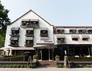 Hotel 't Paviljoen - Rhenen - 3