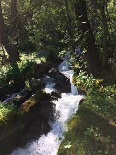 Lo Stambecco Bianco - Aoste - 9