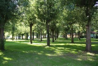 Camping les Borgnes Saint-Sozy - 5