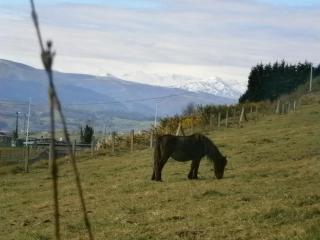 Posada Las Torres - 1