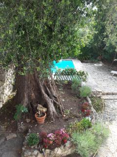 " Le cottage " - Mouans-Sartoux - 6