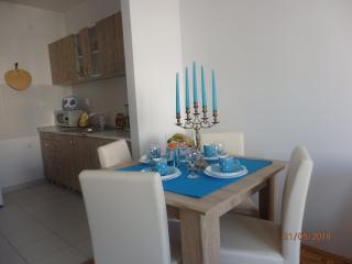 Apartment Erika - Novi Sad - 1