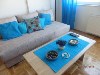 Apartment Erika - Novi Sad - 5