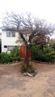 Algarrobo Suites - Algarrobo - 4