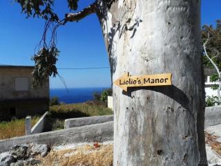 Liolio's Manor - Agalianós - 7