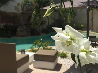 Le Cale Camera Privata in Residence - Favignana - 1
