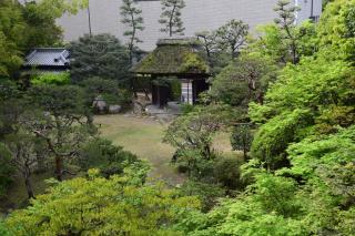 Funaya - Matsuyama - 6